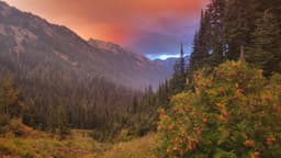 Nature Photography thumbnail 2